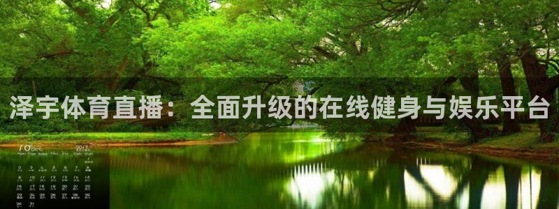 泽宇体育直播：全面升级的在线健身与娱乐平台
