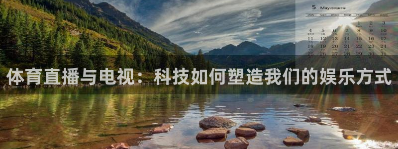 体育直播与电视：科技如何塑造我们的娱乐方式