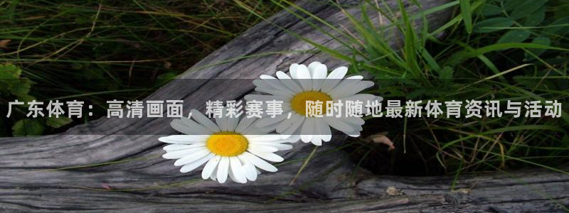 广东体育：高清画面，精彩赛事，随时随地最新体育资讯与活动