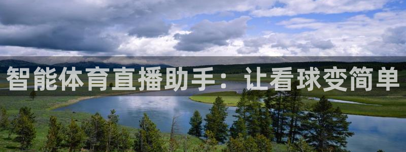智能体育直播助手：让看球变简单