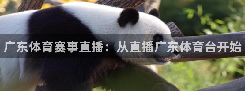 广东体育赛事直播：从直播广东体育台开始