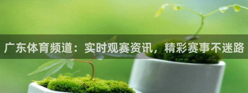 广东体育频道：实时观赛资讯，精彩赛事不迷路