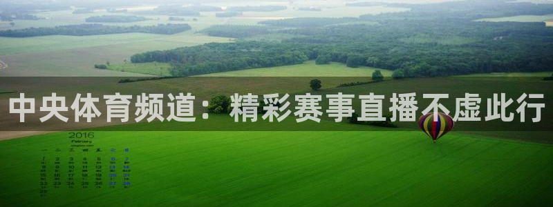 中央体育频道：精彩赛事直播不虚此行