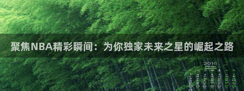 聚焦NBA精彩瞬间：为你独家未来之星的崛起之路