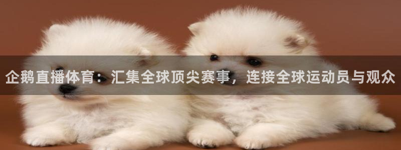 企鹅直播体育：汇集全球顶尖赛事，连接全球运动员与观众