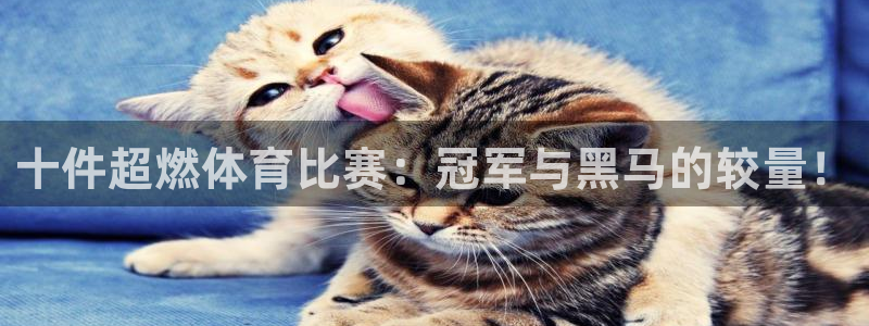 十件超燃体育比赛：冠军与黑马的较量！