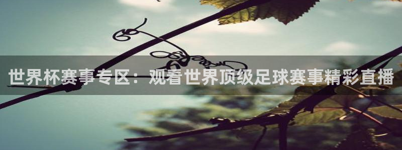世界杯赛事专区：观看世界顶级足球赛事精彩直播