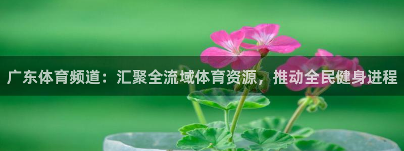 广东体育频道：汇聚全流域体育资源，推动全民健身进程