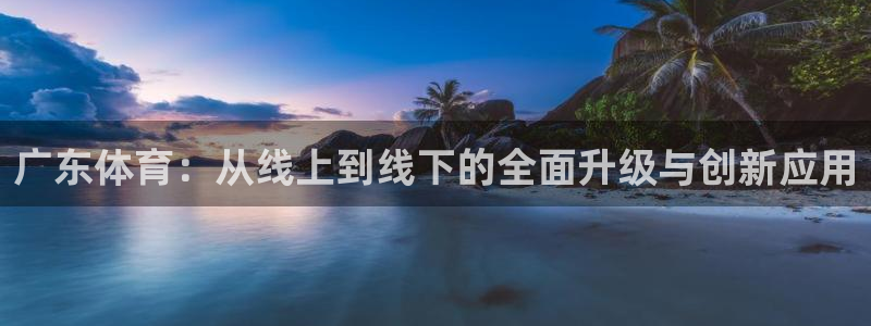 广东体育：从线上到线下的全面升级与创新应用