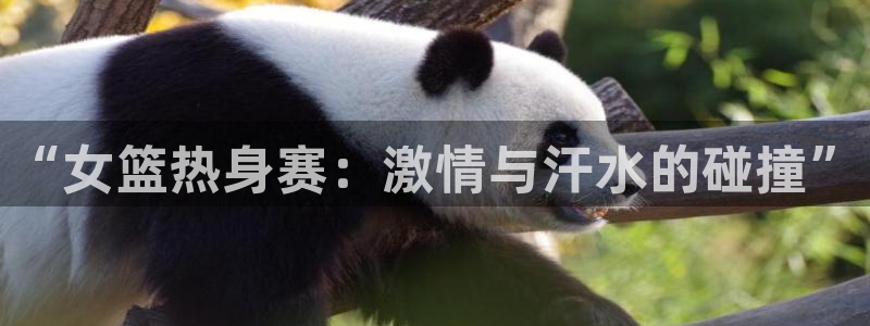 “女篮热身赛：激情与汗水的碰撞”