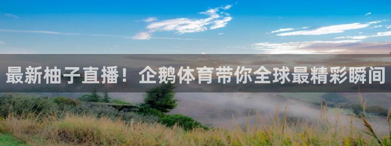 最新柚子直播！企鹅体育带你全球最精彩瞬间
