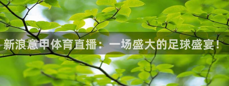 新浪意甲体育直播：一场盛大的足球盛宴！