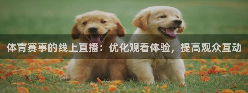 体育赛事的线上直播：优化观看体验，提高观众互动