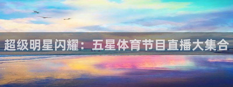 超级明星闪耀：五星体育节目直播大集合