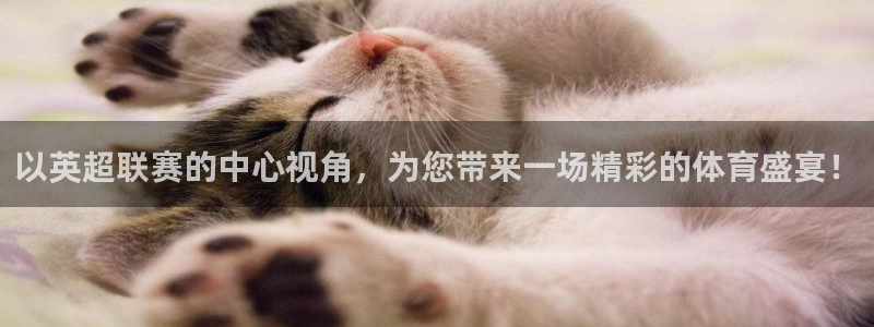 以英超联赛的中心视角，为您带来一场精彩的体育盛宴！