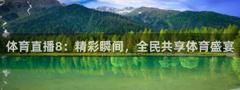 体育直播8：精彩瞬间，全民共享体育盛宴