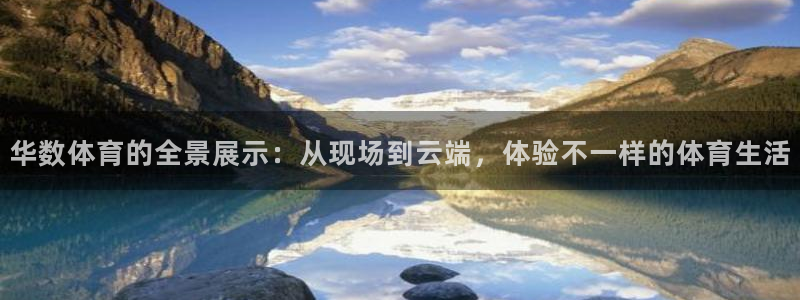 华数体育的全景展示：从现场到云端，体验不一样的体育生活